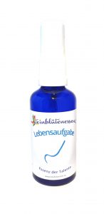 lebensaufgabe