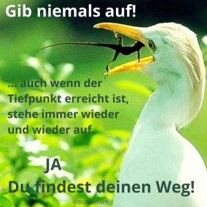 Lebensthemen - gib niemals auf
